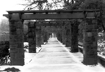 Image showing Icy Park Walkway