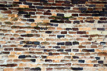 Image showing grunge old wall