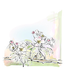 Image showing sketch of apple tree in bloom