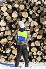 Image showing Forester with folder an opposite logs off the pile