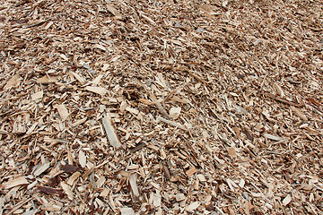 Image showing Background of Wood Chip