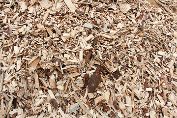 Image showing Background of Wood Chip