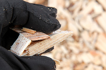 Image showing Wood Chips in a Woman's Hand