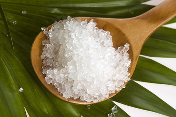 Image showing bath salt and palm leaf 