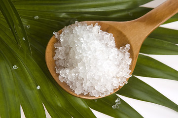 Image showing bath salt and palm leaf 