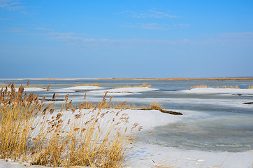 Image showing Bright wetland