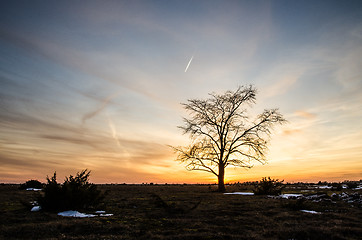 Image showing Sunset at great plain area