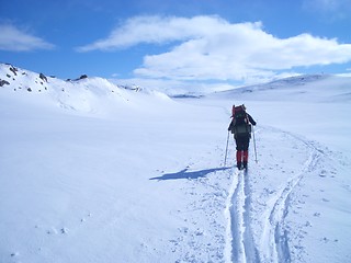 Image showing Skiing in Norway