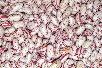 Image showing Beans salad