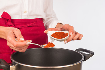 Image showing Seasoning with paprika