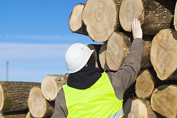 Image showing Forester near logs off the pile