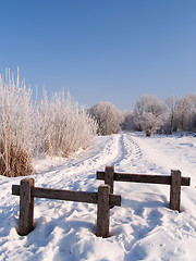 Image showing footpath in winter