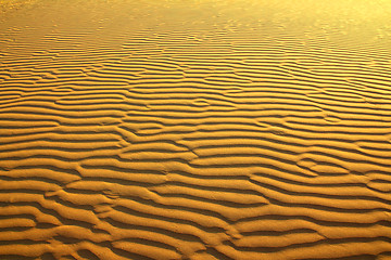 Image showing sand in desert ripple background