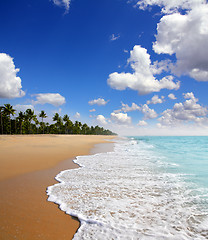 Image showing beach landscape