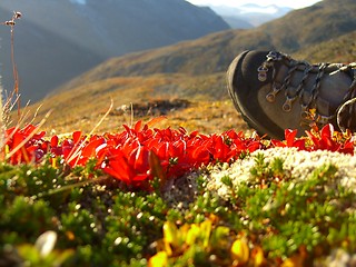 Image showing Boot in mountain