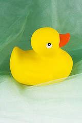 Image showing Rubber duck