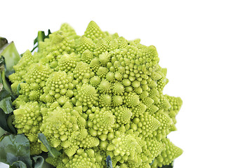 Image showing Romanesco broccoli or Roman cauliflower