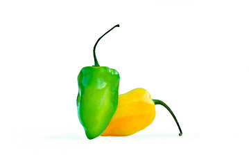 Image showing Habanero Chili Pepper