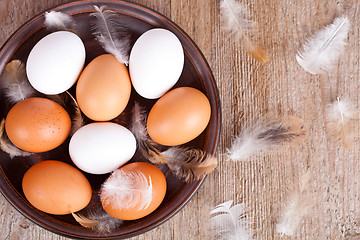 Image showing eggs and feathers in a plate