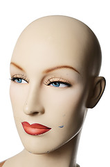 Image showing headshot of a female manneqin, vertical