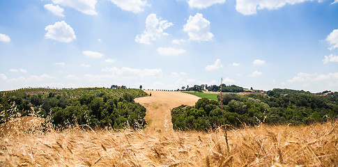 Image showing Country in Tuscany