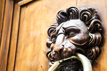 Image showing Lion Head Door Knocker