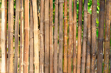 Image showing bamboo fence