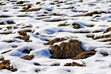 Image showing acre with snow