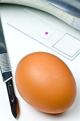 Image showing Examination of eggs