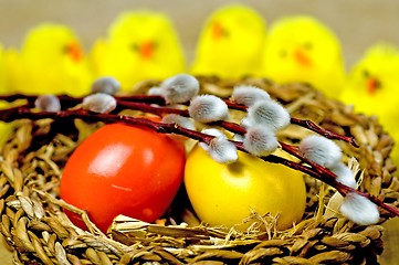 Image showing easter basket with painted eggs, catkin and biddies