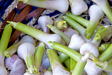 Image showing Young garlic