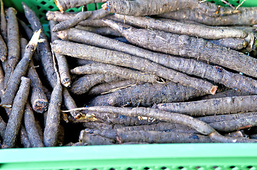 Image showing black salsify