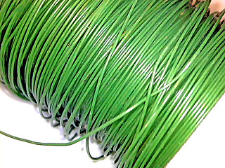 Image showing Florist wire