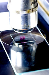 Image showing Microscope with test
