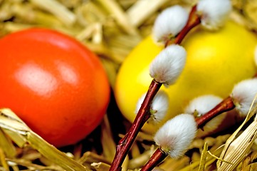 Image showing easter basket with painted eggs and catkin 