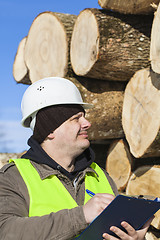 Image showing Lumberjack  writing near at the log pile