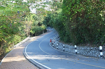 Image showing jungle road