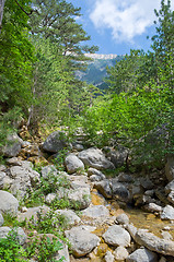 Image showing  stream in the picturesque mountains 