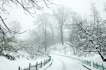 Image showing Landscape in winter city park