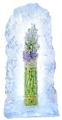 Image showing frozen bamboo