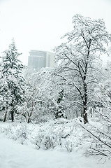 Image showing Landscape in winter city park