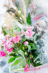 Image showing icy roses