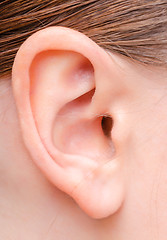 Image showing ear  of a young woman