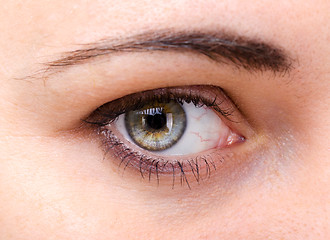 Image showing human eye closeup