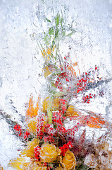 Image showing delicate bouquet of flowers in the ice