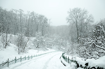 Image showing Landscape in winter city park