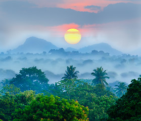 Image showing sunrise in the jungles