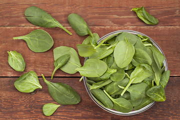 Image showing bowl of baby spinach