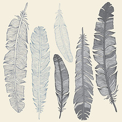 Image showing Feather Set