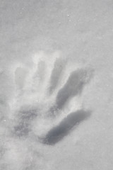 Image showing snow imprint of human palm